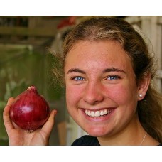 RED ONION MEDIUM  Each Pukekohe Grown